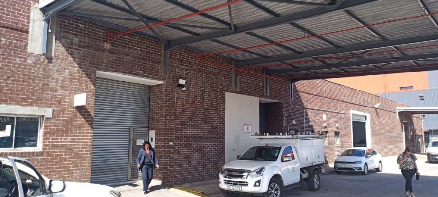 To Let commercial Property for Rent in Diep River Western Cape